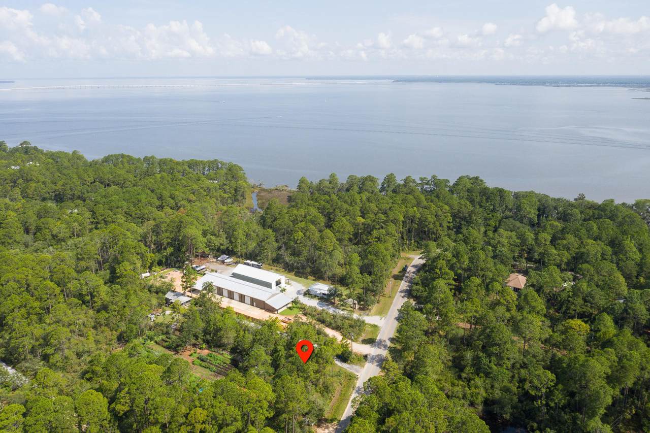 Lot 30 Dick Saltsman Road - Photo 1