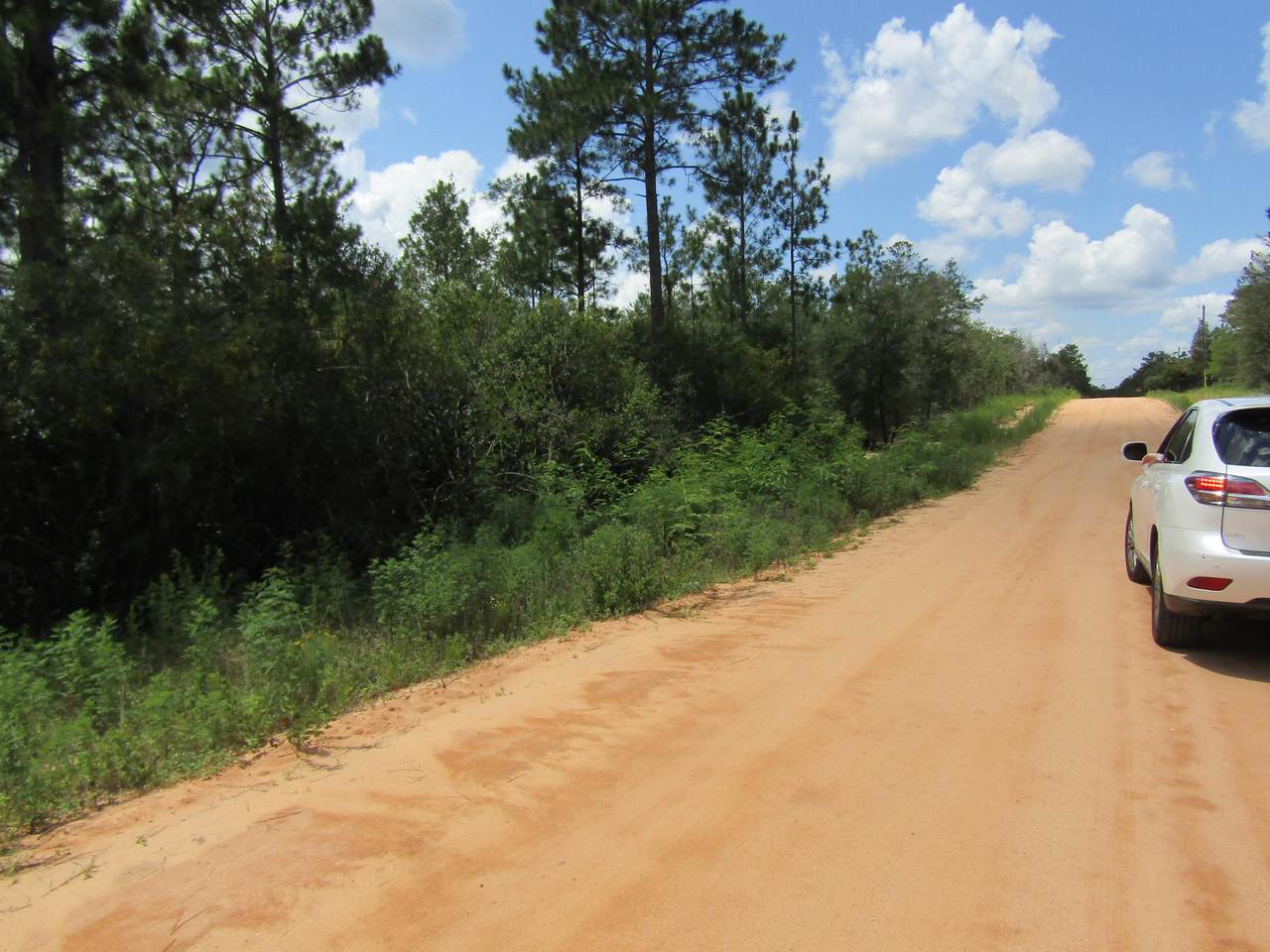LOT 10 Juniper Avenue - Photo 1