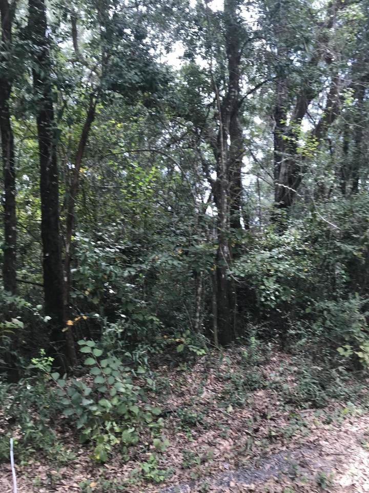 XXX B H Reddick Road - Photo 1