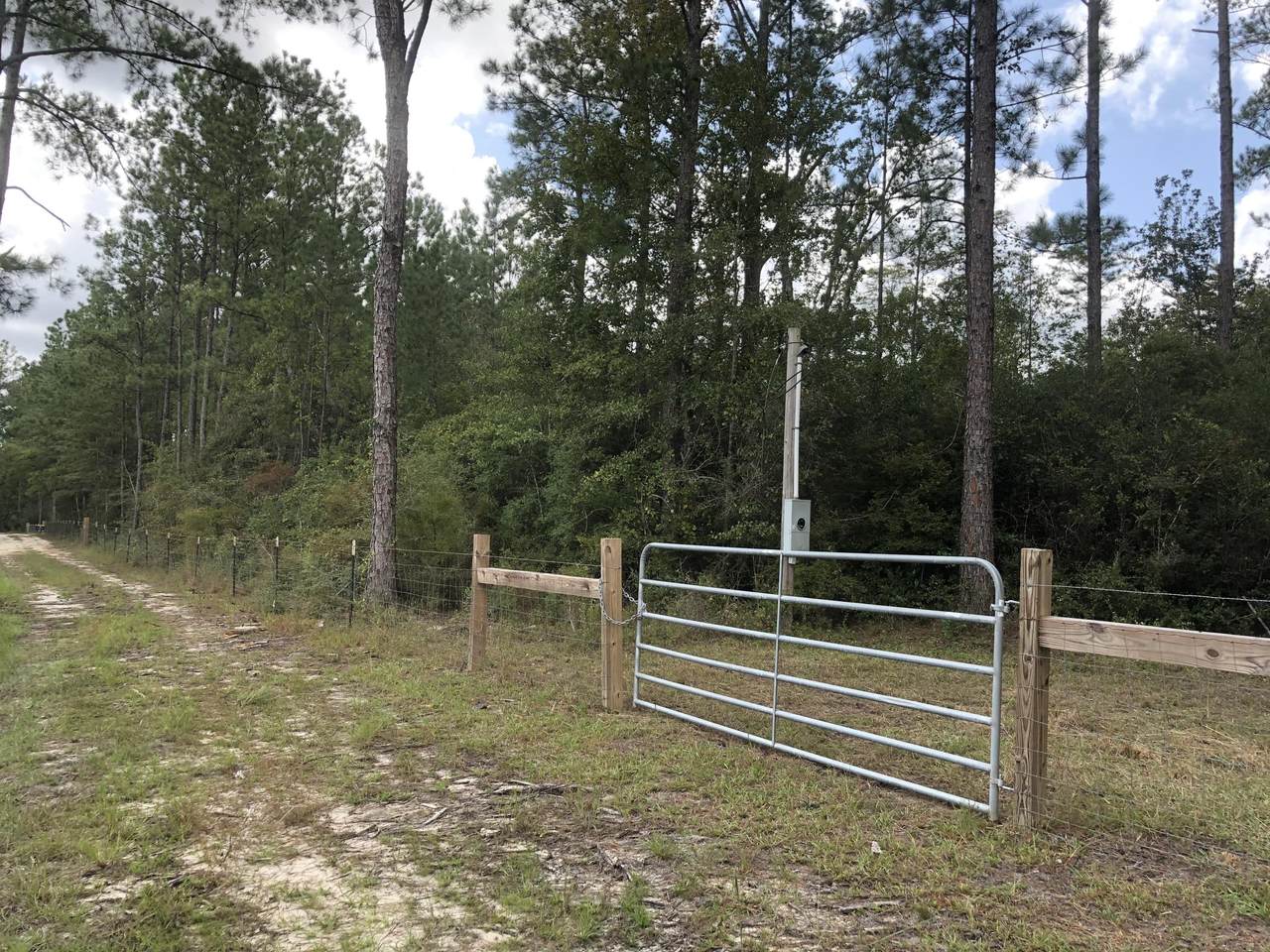 215 Weed Patch Drive - Photo 1