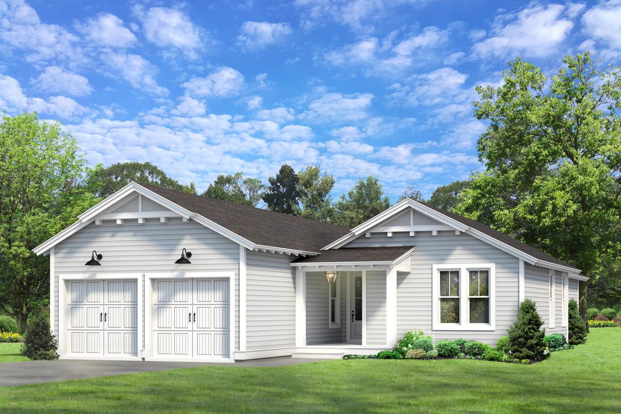 81 Catface Drive - Photo 1
