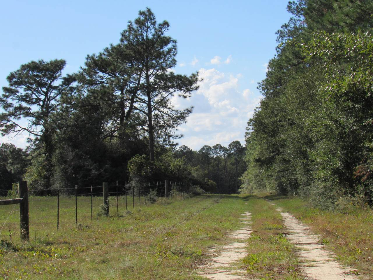 913 Old Airport Road - Photo 1