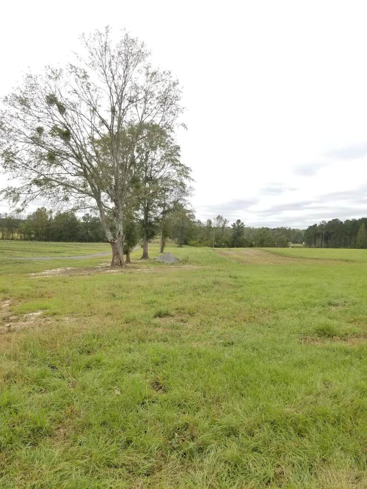 34 Acres Ludlum Road - Photo 1