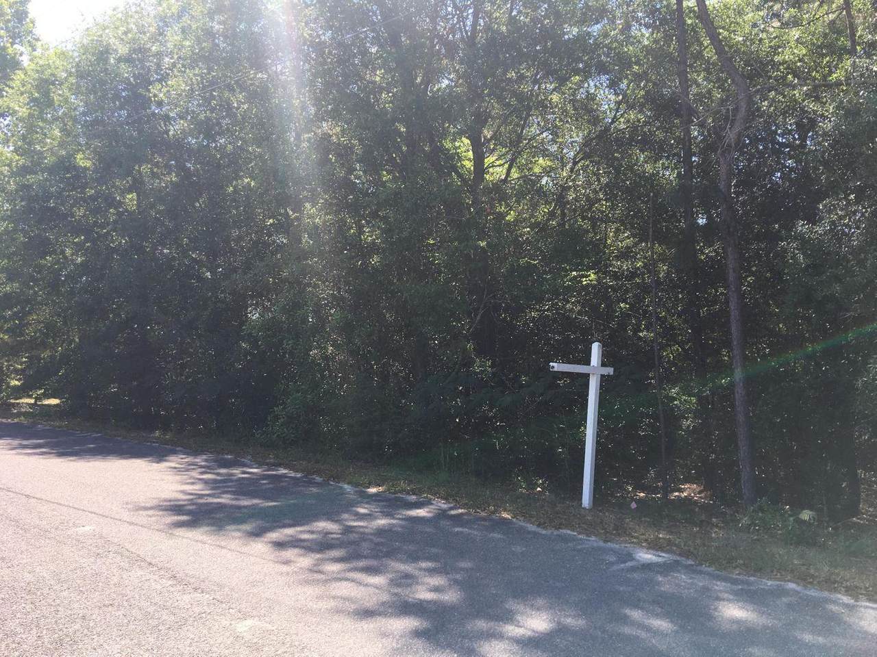 6095 Sonny Lane - Photo 1
