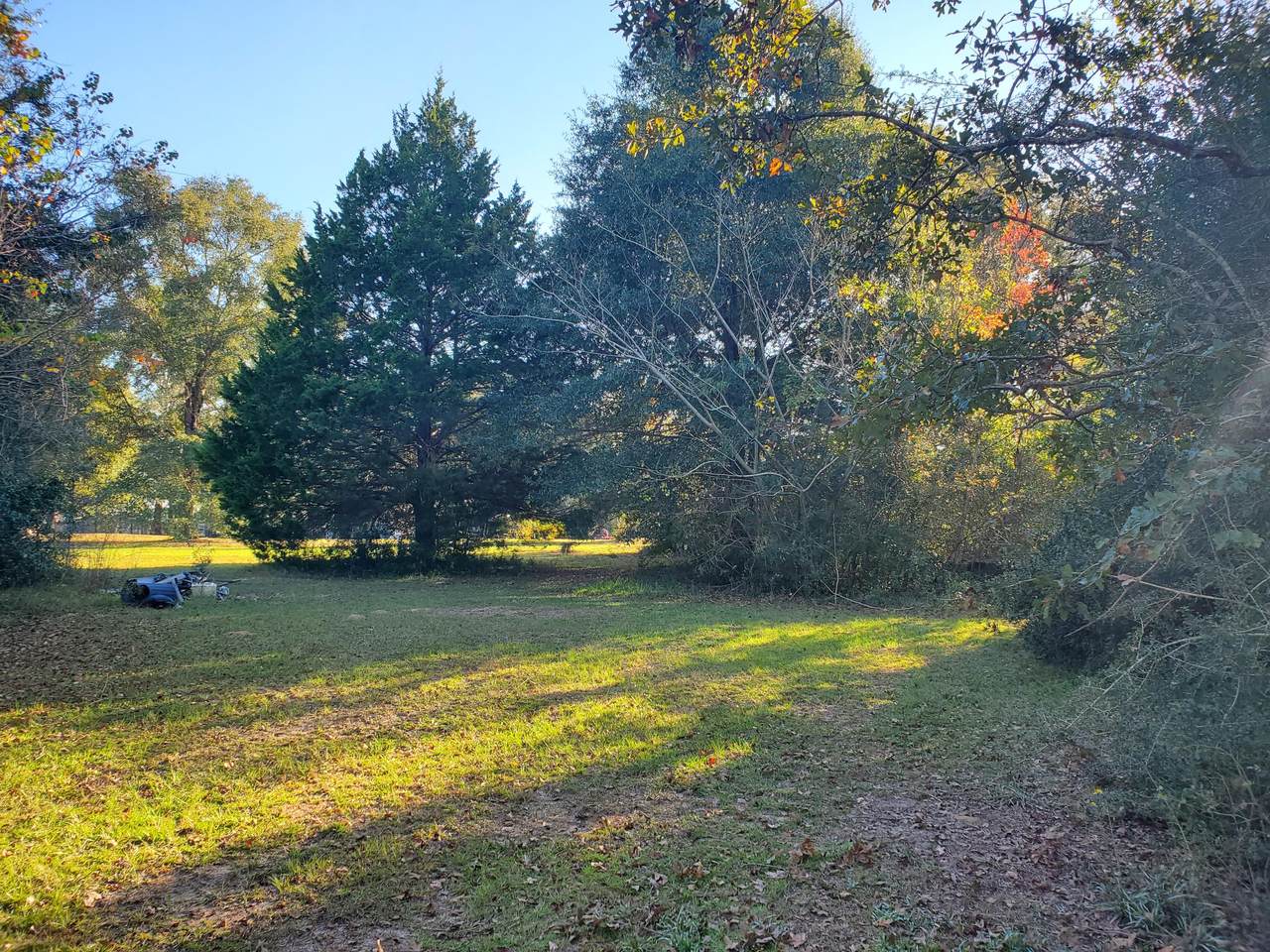 000 Bird Drive - Photo 1