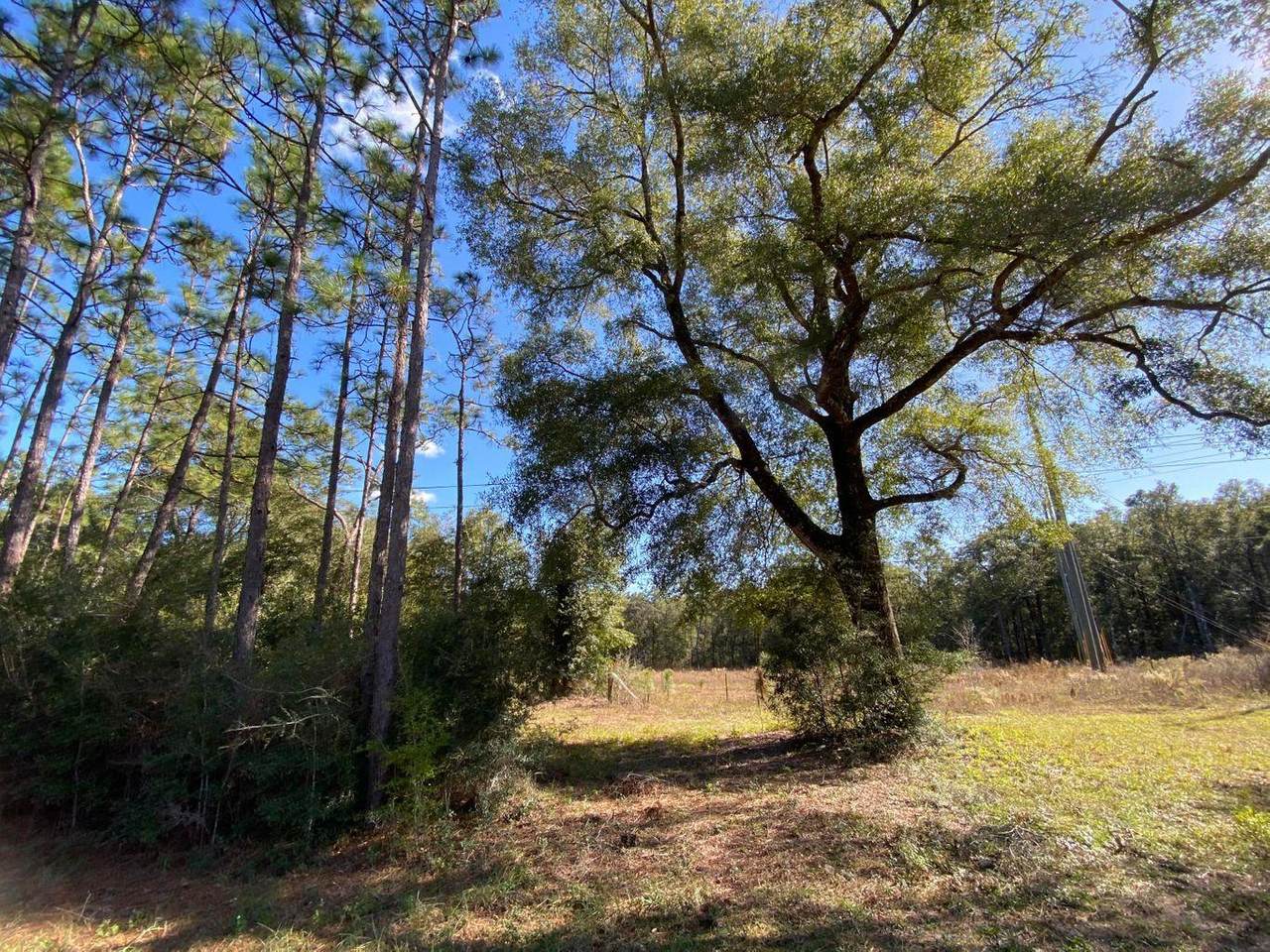 XXX-B Hwy 90 - Photo 1