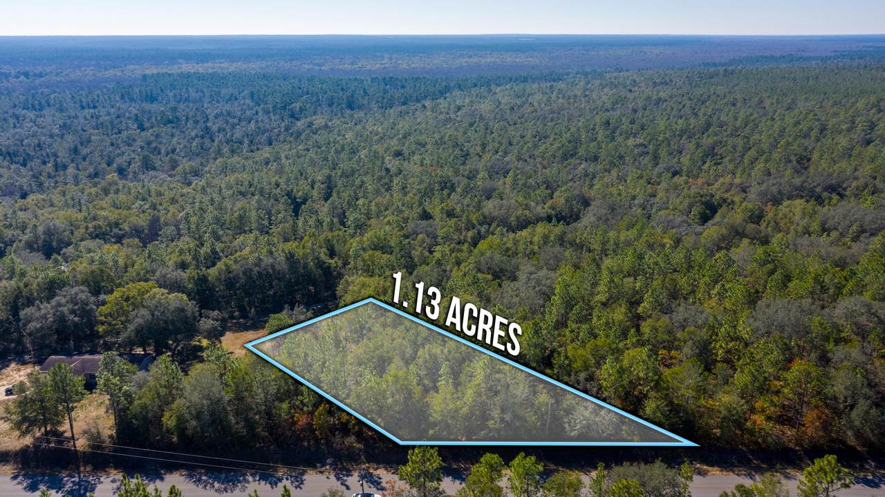 TBD Wilkerson Bluff Road - Photo 1