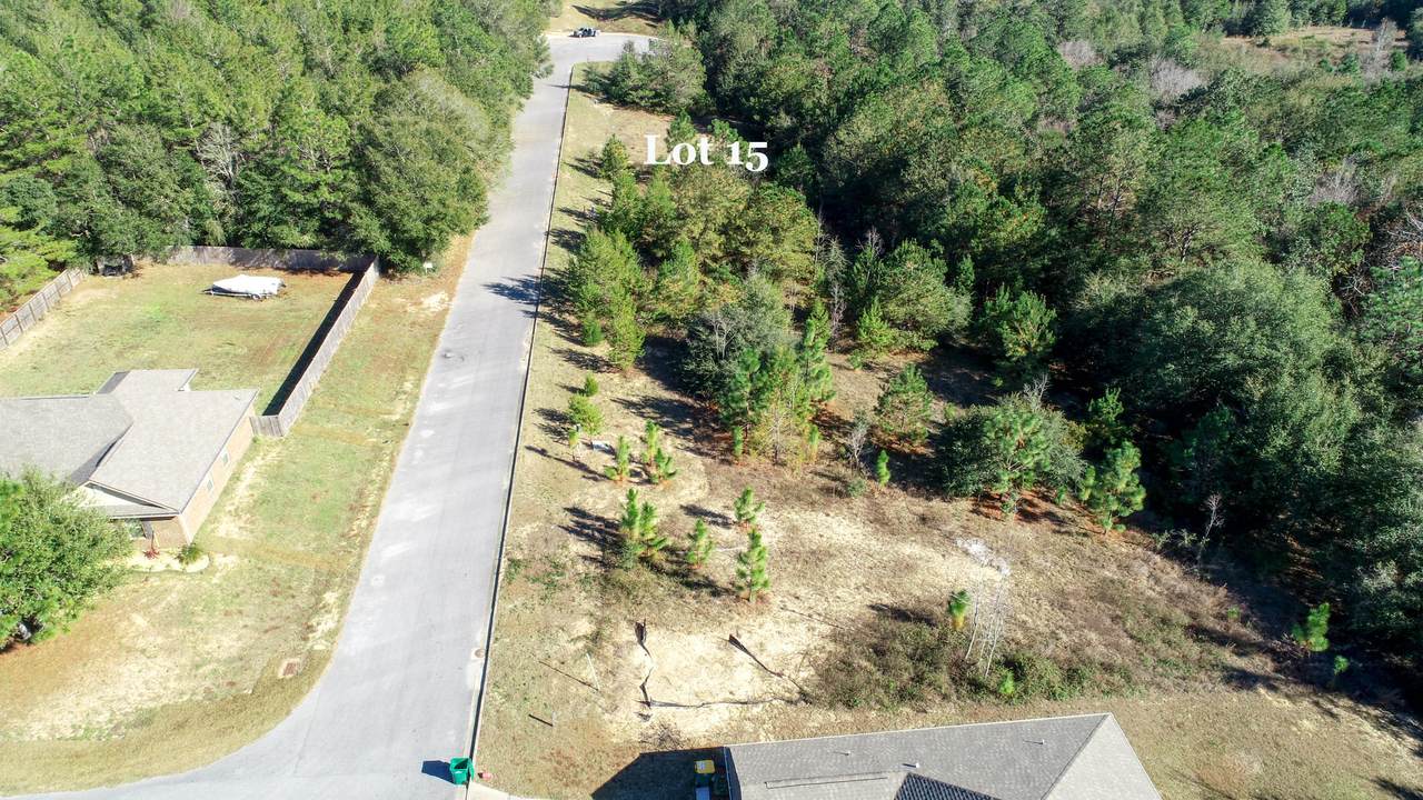 Lot 15 Wild Hare Ln - Photo 1