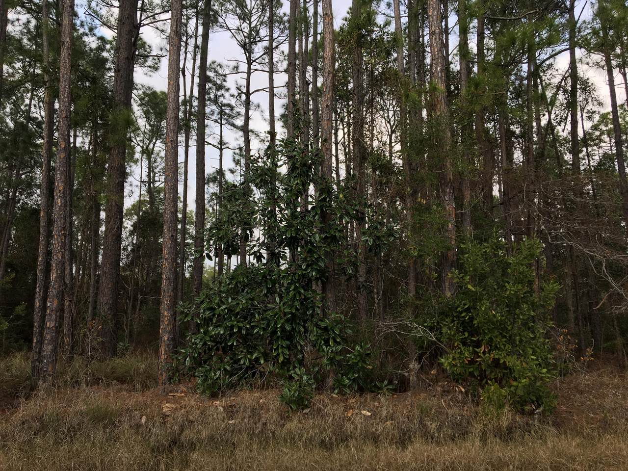 Lot 15 Nikki Circle - Photo 1