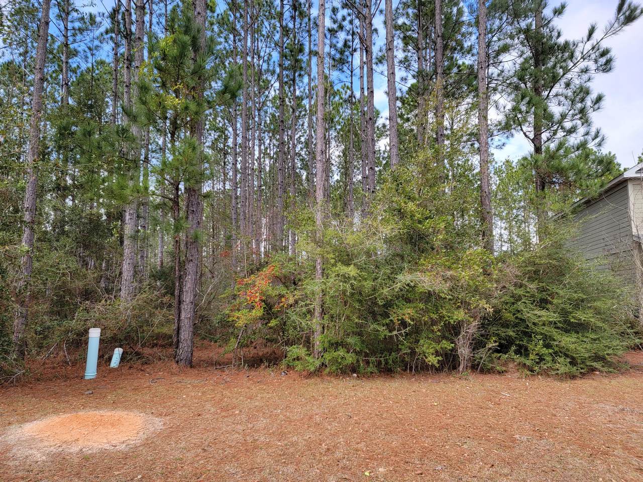 309 Concert Court - Photo 1