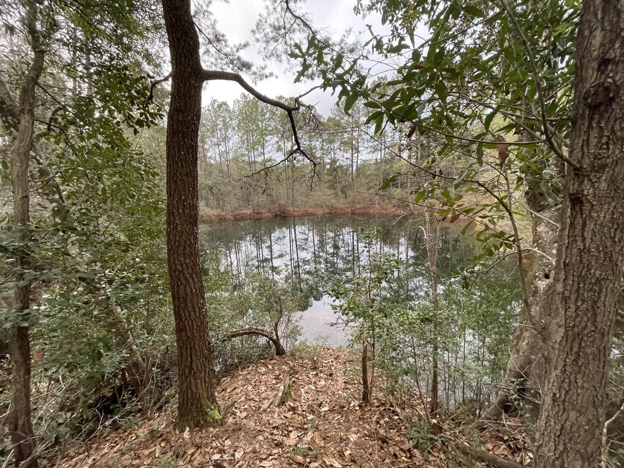 2.54 AC-B J V Wooley Road - Photo 1