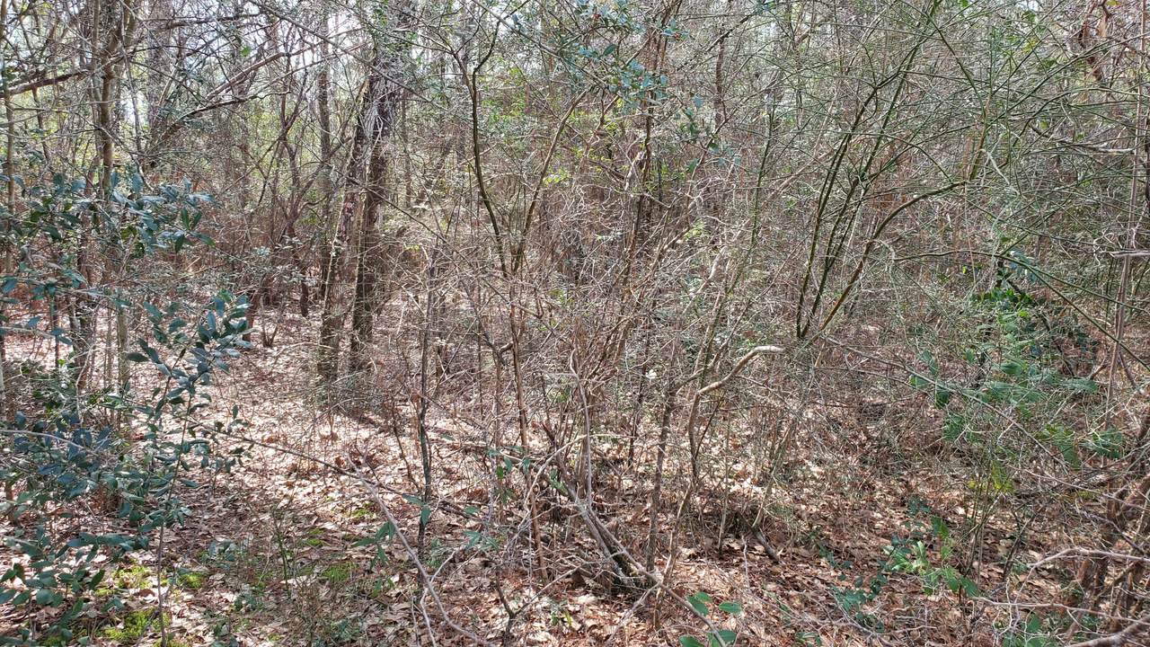 173 Seneca Trail - Photo 1
