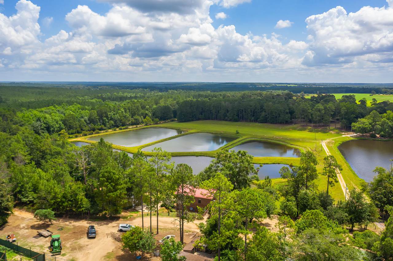 4439 Wells Pond Road - Photo 1