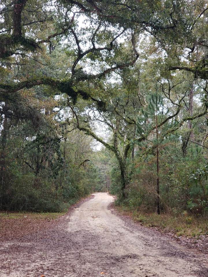 lot 15 Obacs Lane - Photo 1