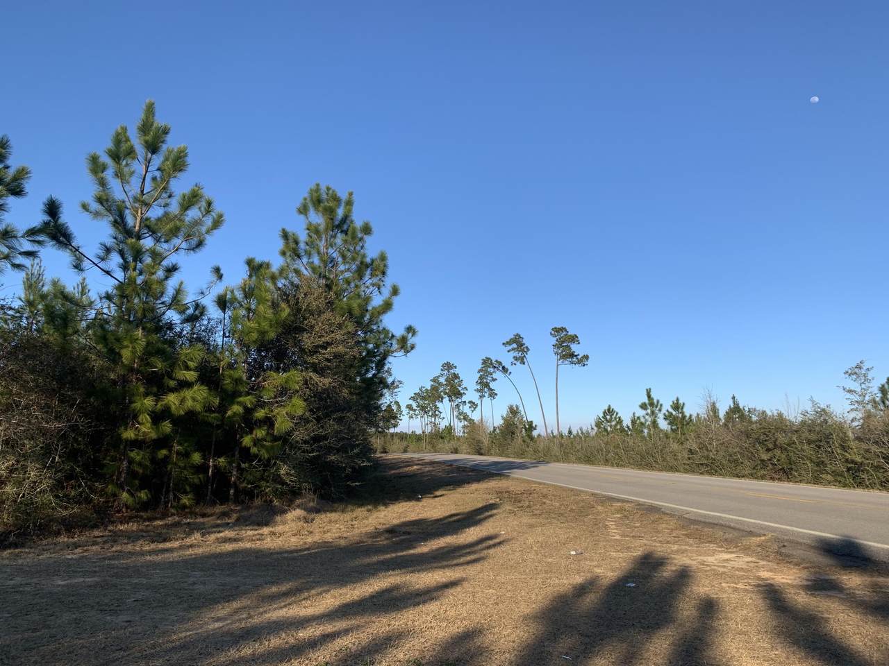 12.56 AC-C Munson Hwy - Photo 1