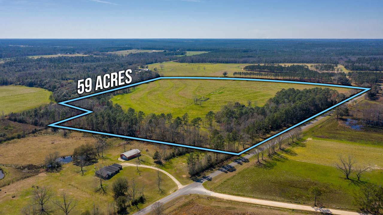 59 ACRES Pen Williams Road - Photo 1