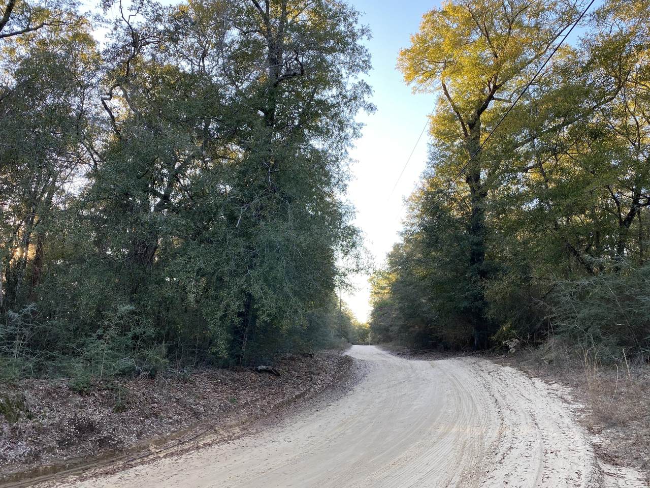 Lot B Willow Lane - Photo 1