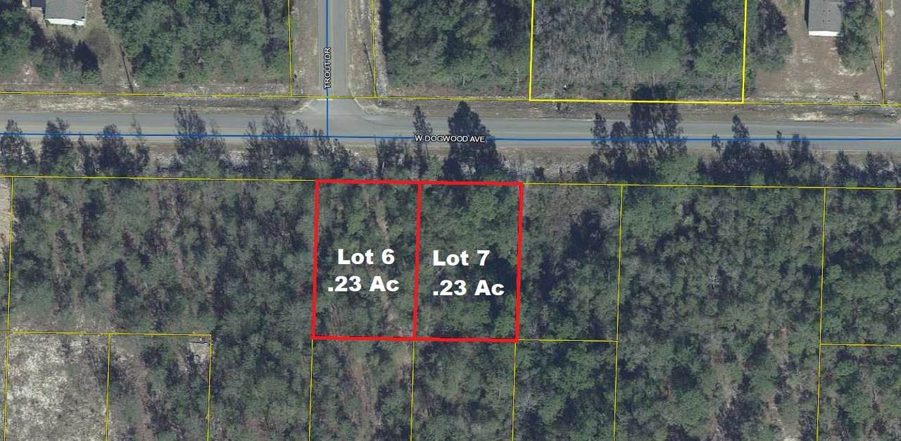6&7 Dogwood Avenue - Photo 1