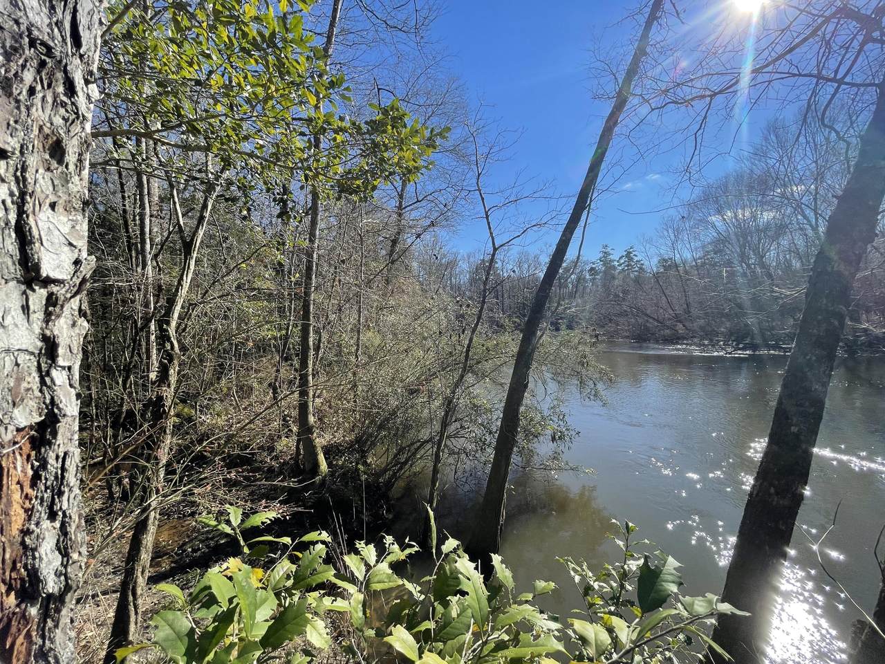 8 Lots Genevieve Way - Photo 1