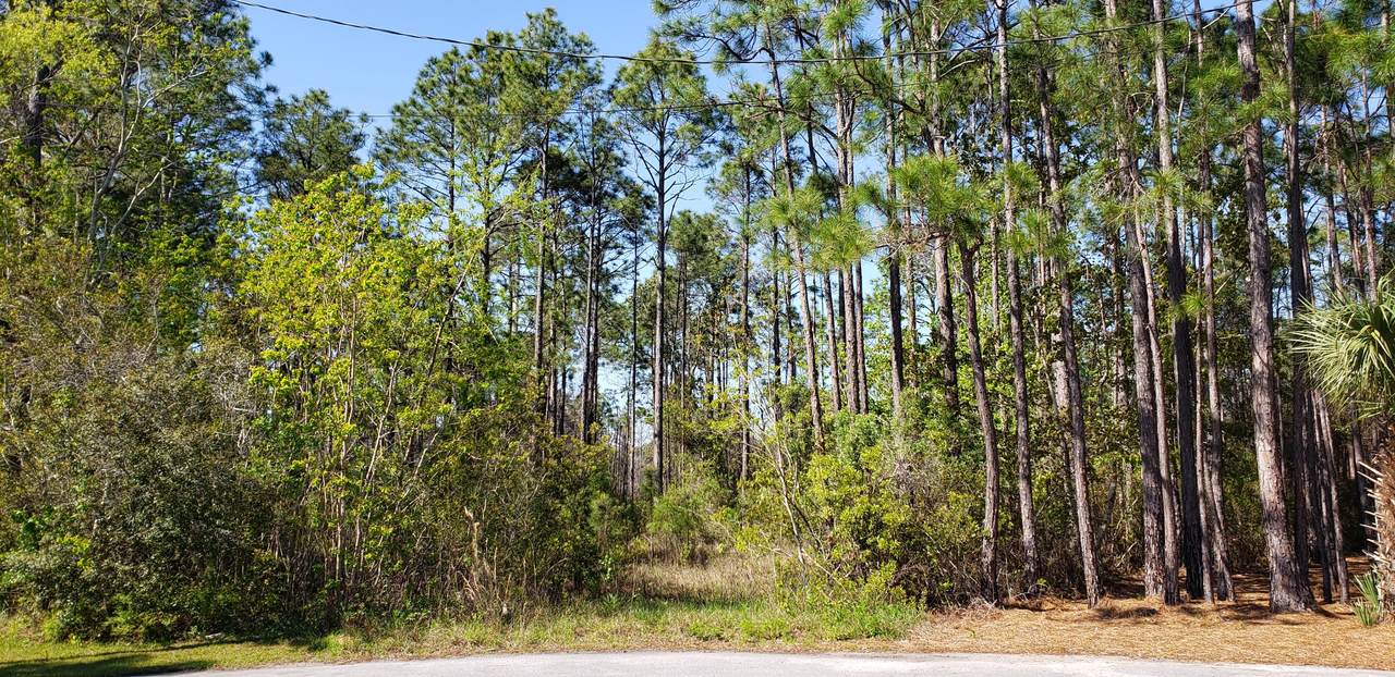 LOT 13 Monarch Drive - Photo 1