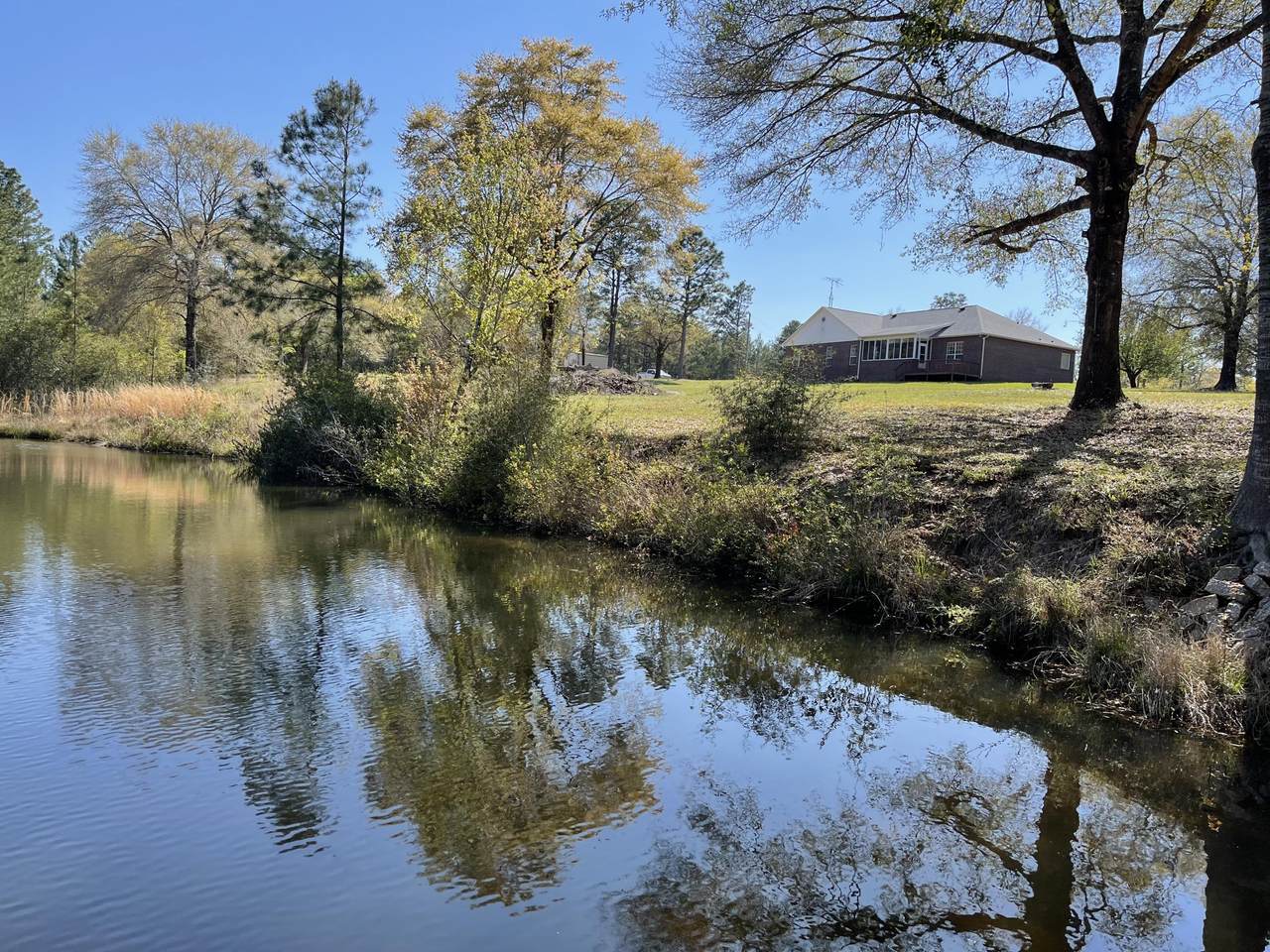 5545 Kervin Road - Photo 1