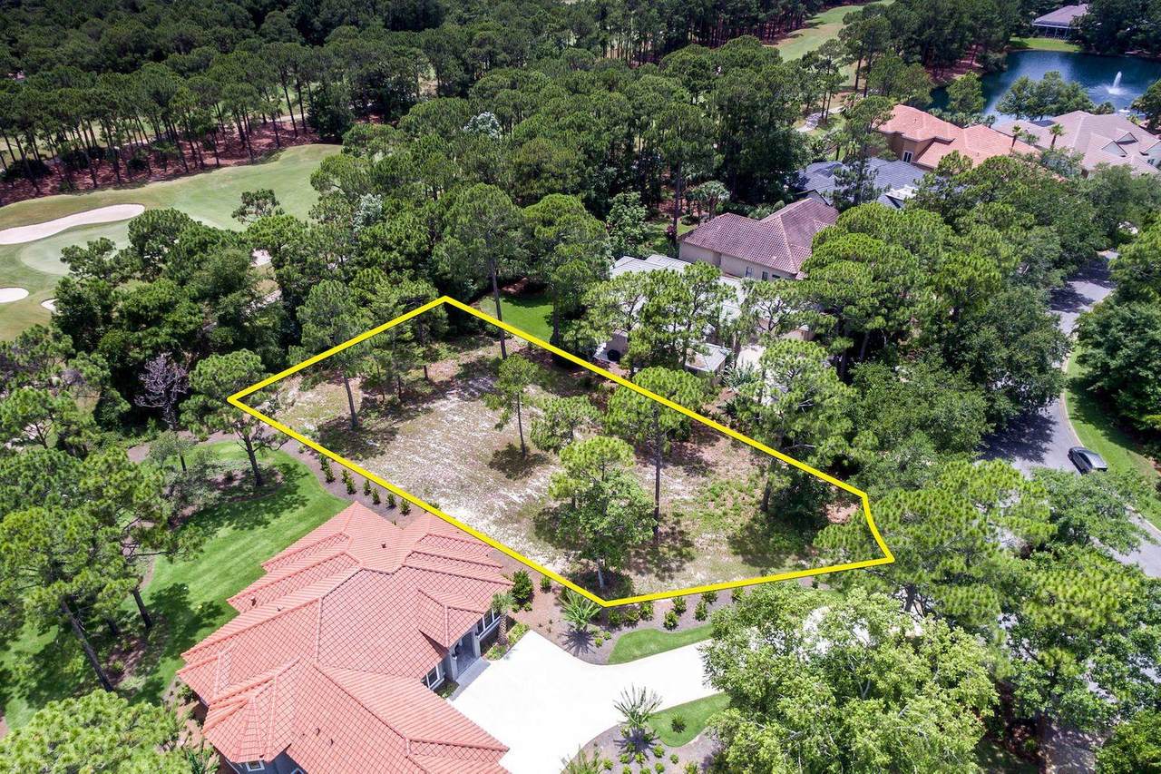 2924 Sand Pine Road - Photo 1