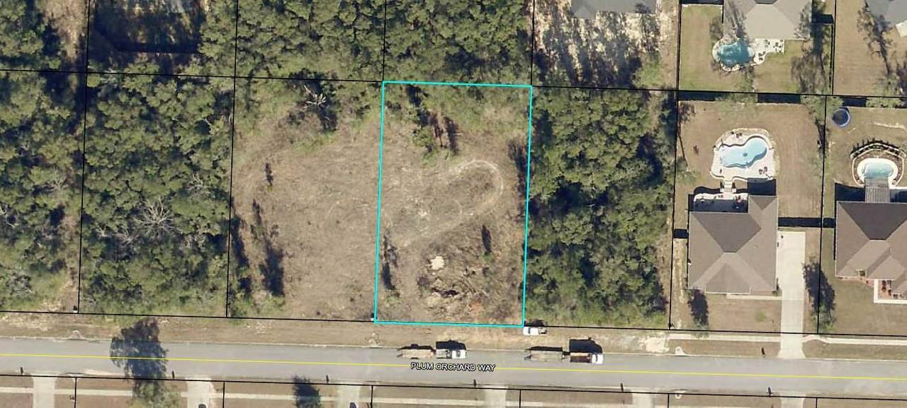 TBD Plum Orchard Way - Photo 1