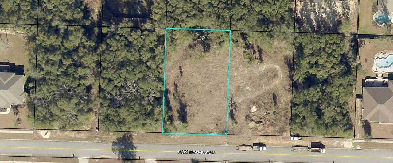 TBD Plum Orchard Way - Photo 1