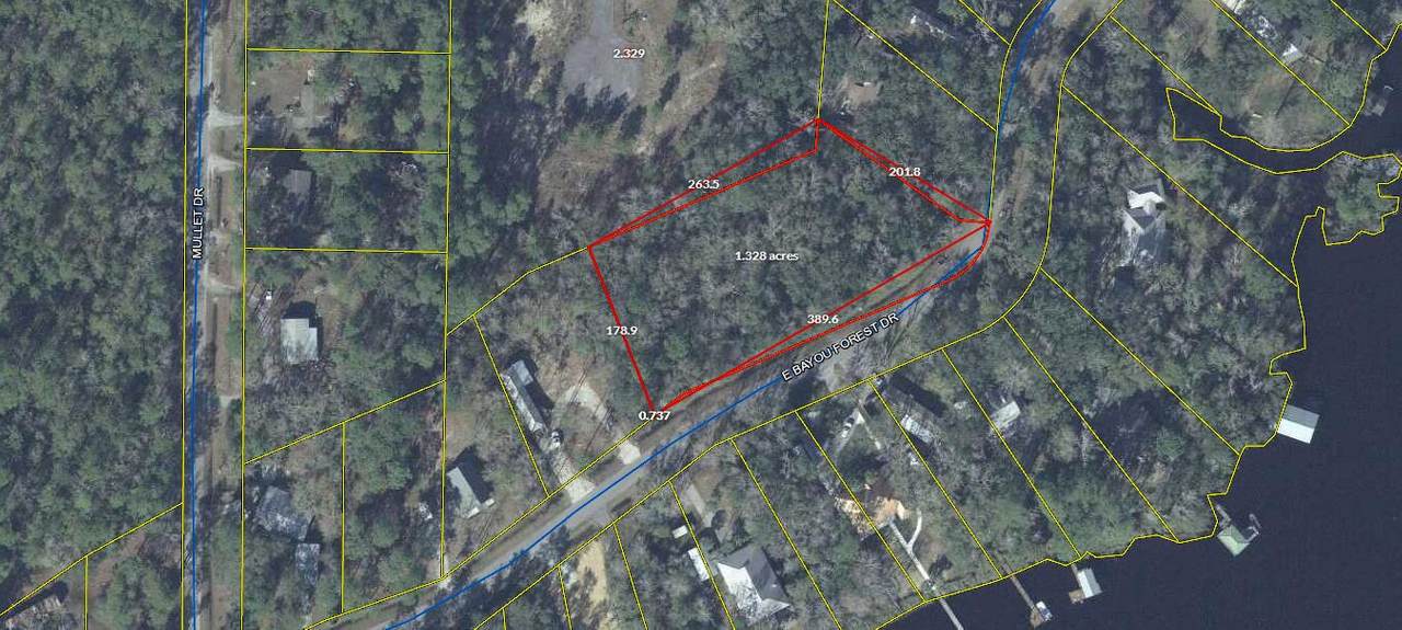 Lots 3 Bayou Forest Drive - Photo 1