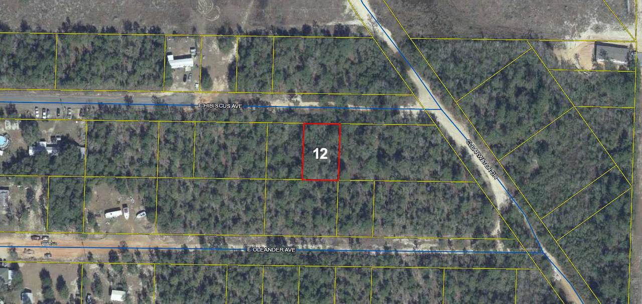 Lot 12 Hibiscus Avenue - Photo 1