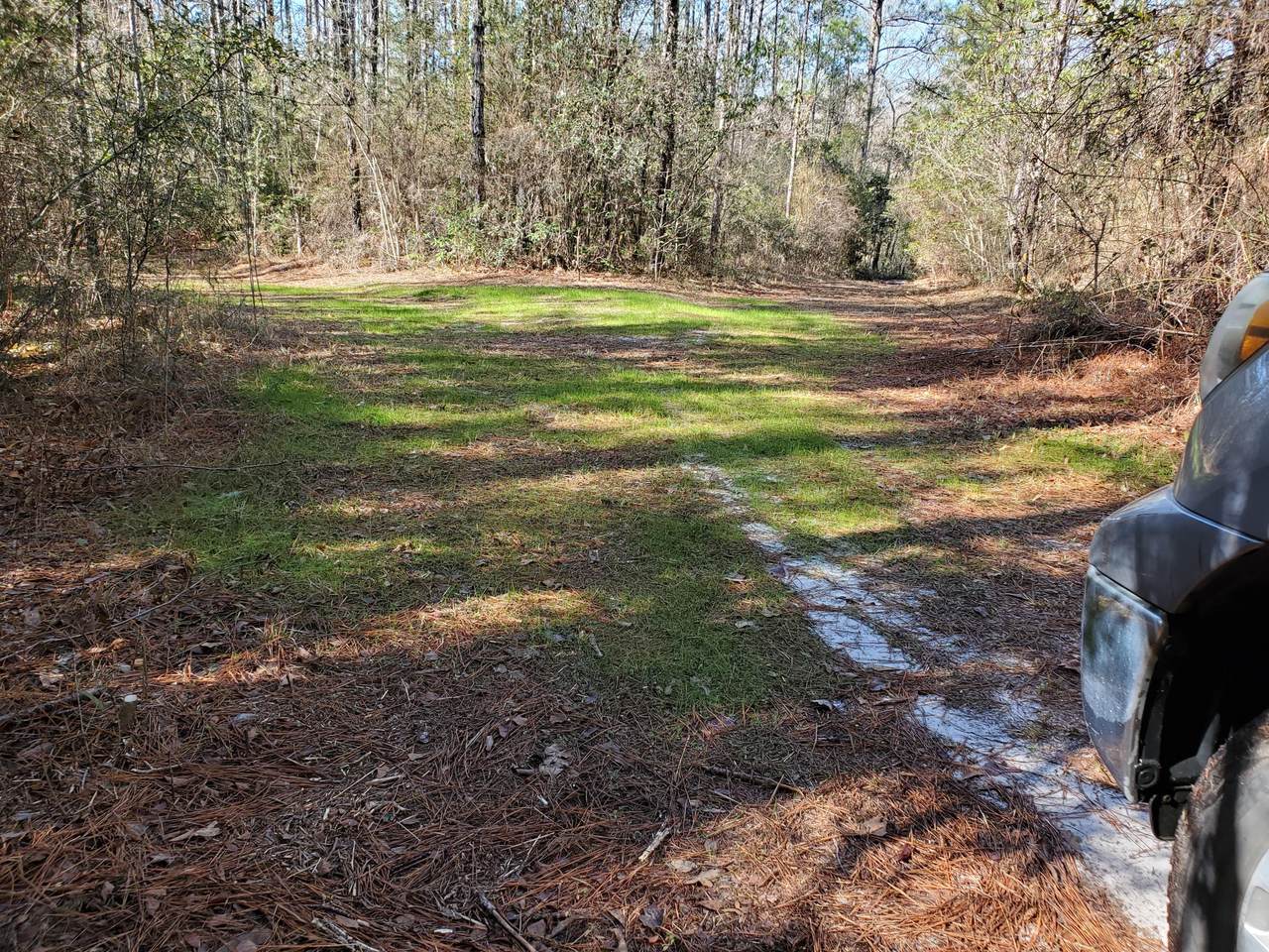 0 0 Hwy 393/Dorcas Road - Photo 1