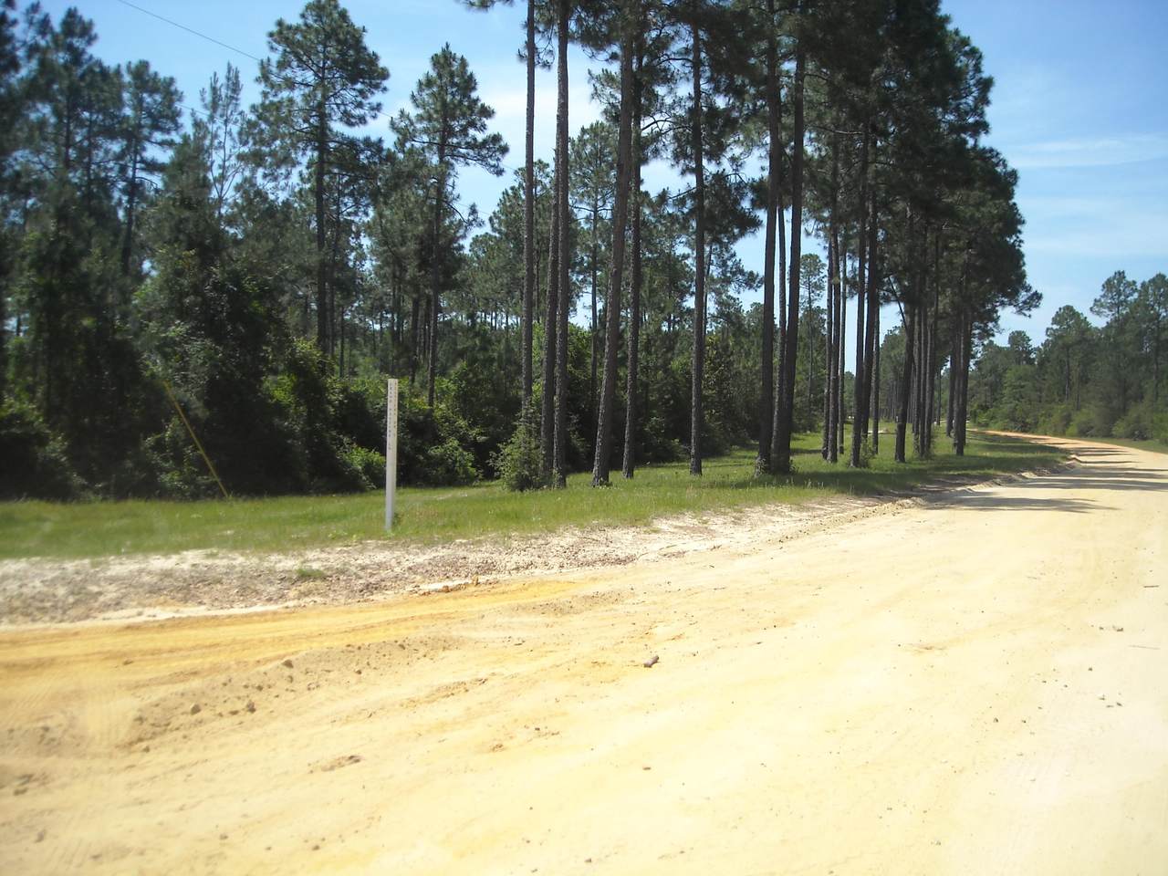 Lot D1A Planters Drive - Photo 1