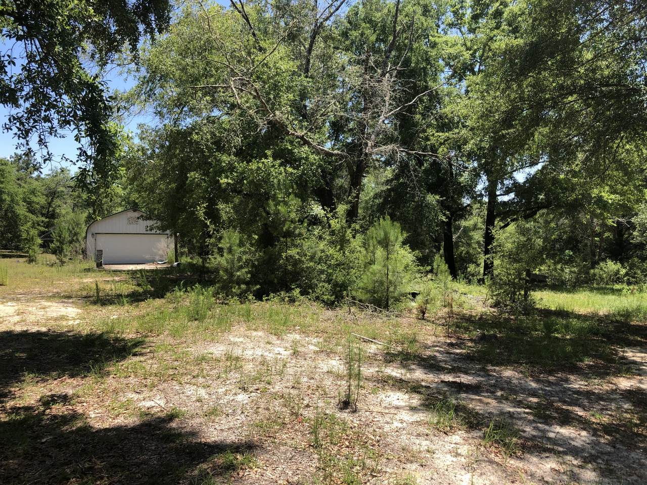 3106 Ries Road - Photo 1