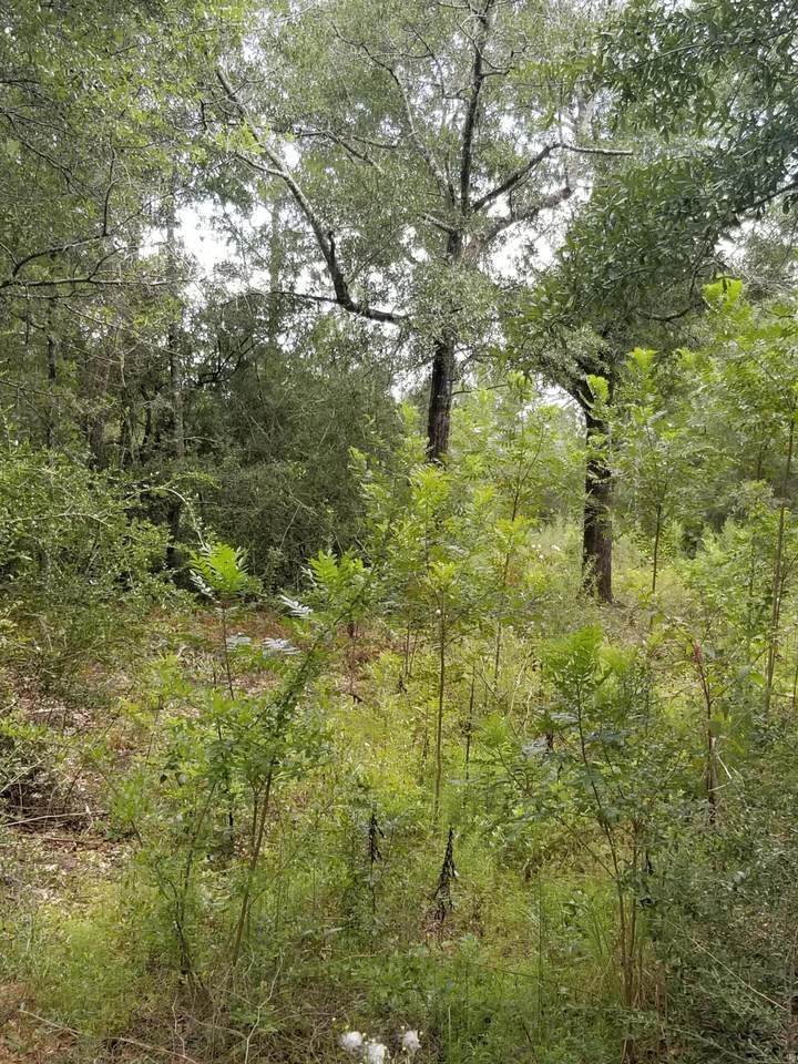 00 Oakridge Road - Photo 1
