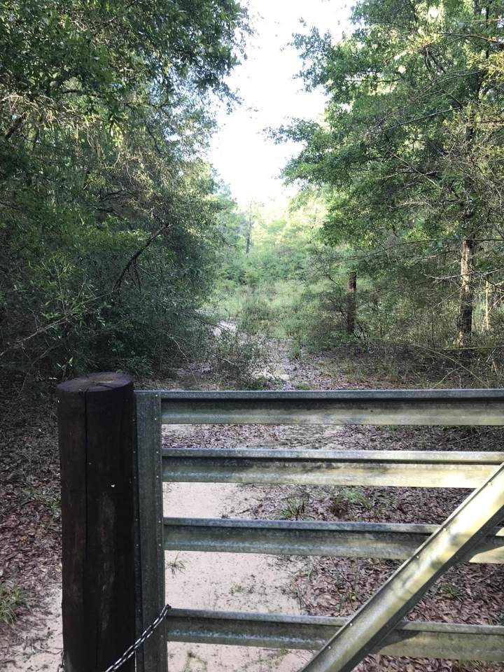 9940 Pond Road - Photo 1