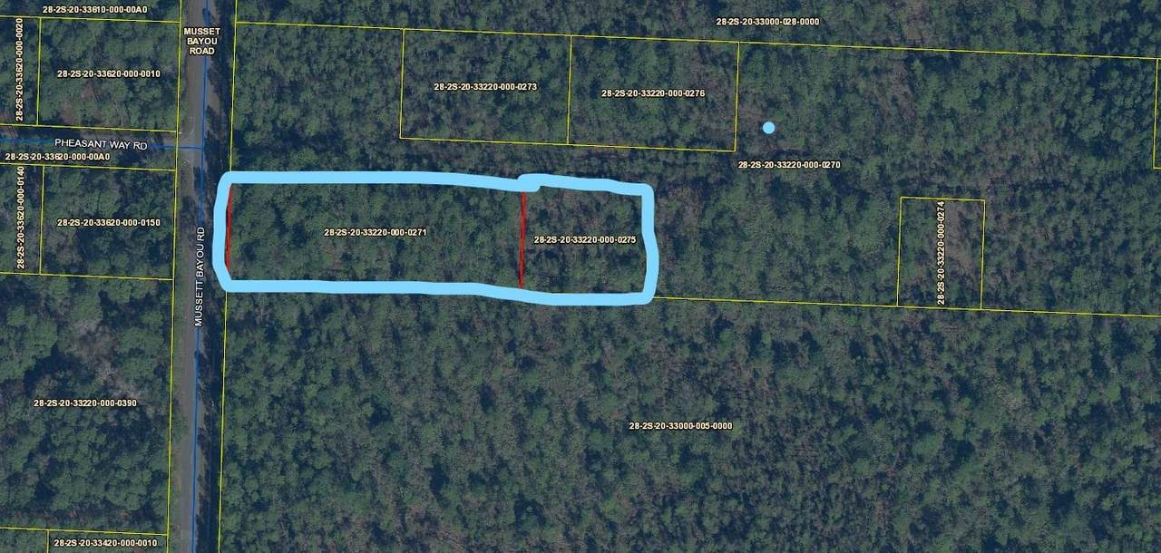 000 Mussett Bayou Road - Photo 1