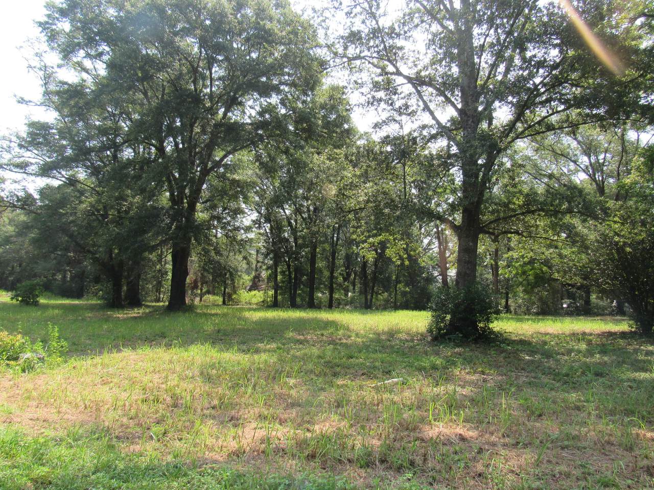 000 Alsweed Road - Photo 1