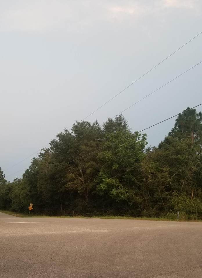 0 Oak Ridge Road - Photo 1