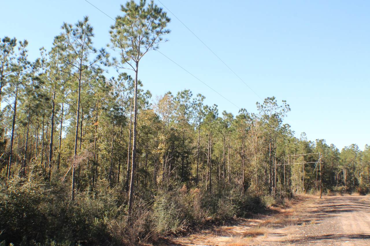Lot 12 Shepherds Lane - Photo 1