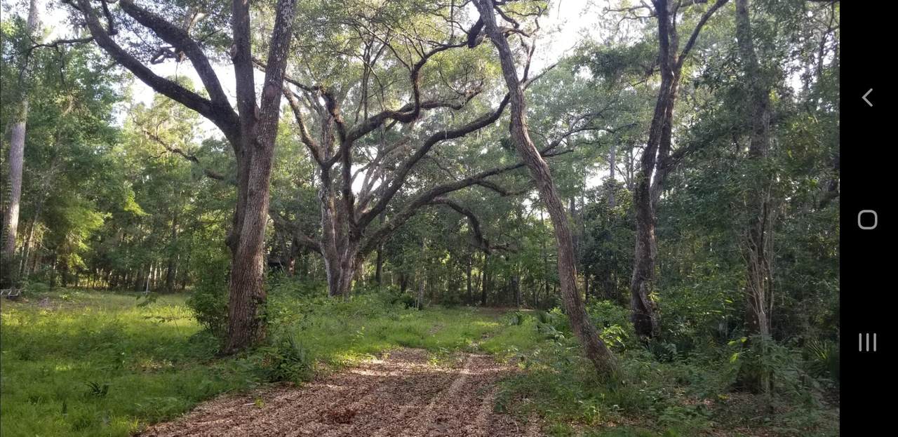 Lot 9 Shallows East Drive - Photo 1