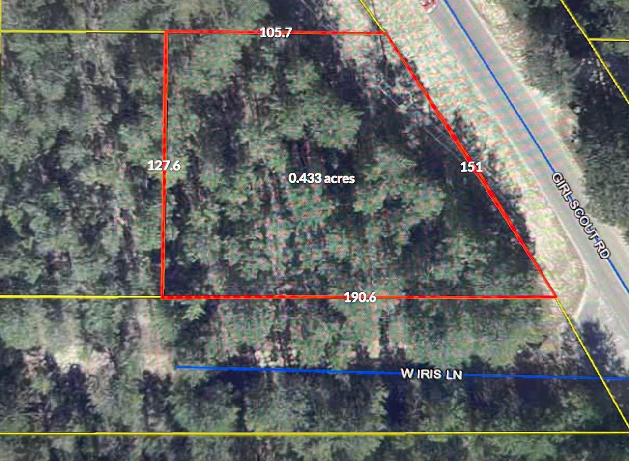 Lots 1 & 2 Girl Scout Road - Photo 1
