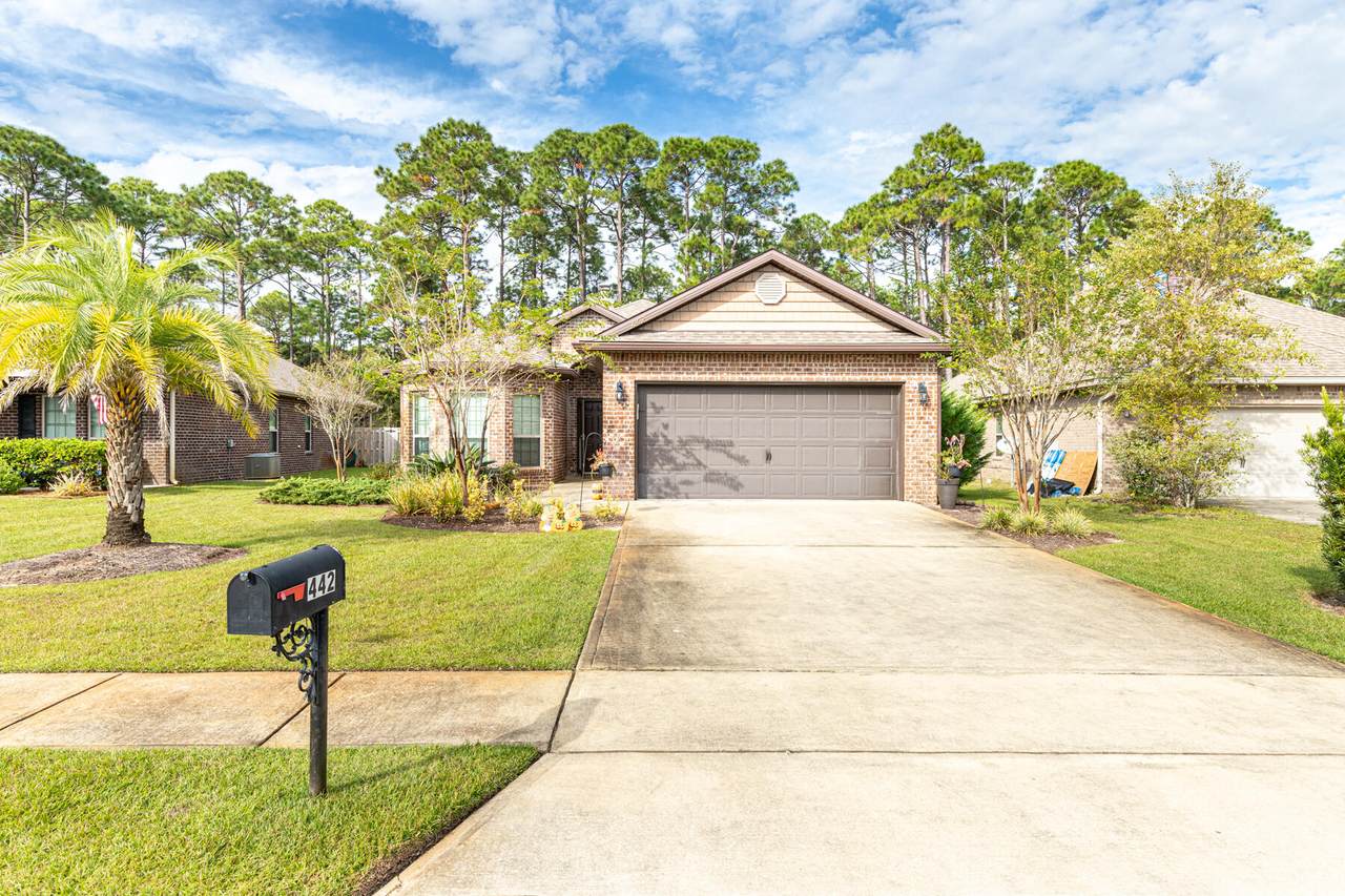 442 Cocobolo Drive - Photo 1