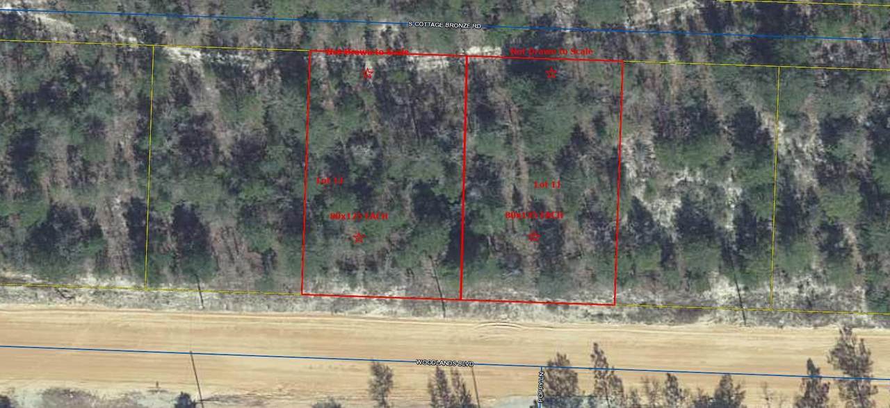 Lot 11 Woodland Blvd - Photo 1