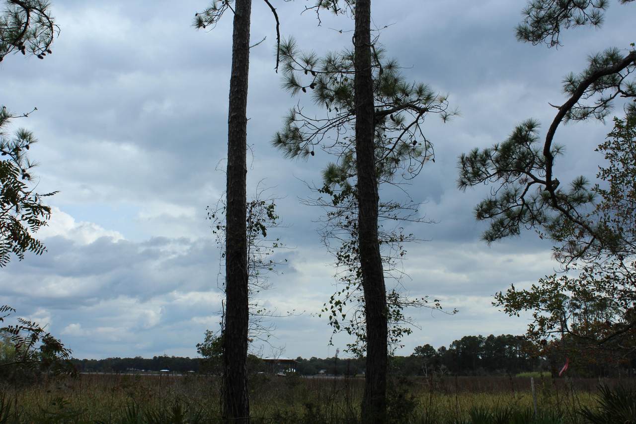 LOT 8 Cross Creek Circle - Photo 1