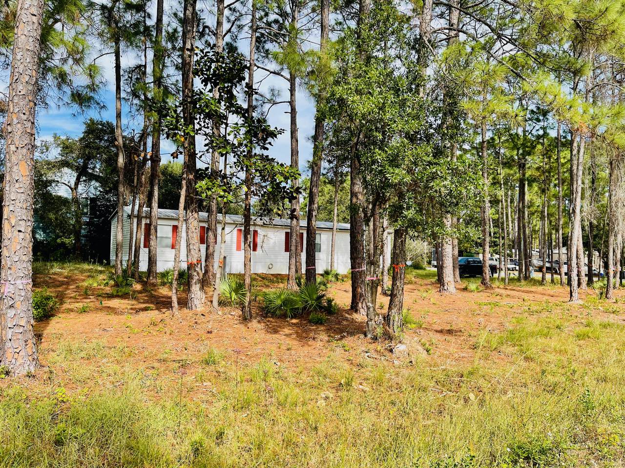 79 Shady Pines Drive - Photo 1