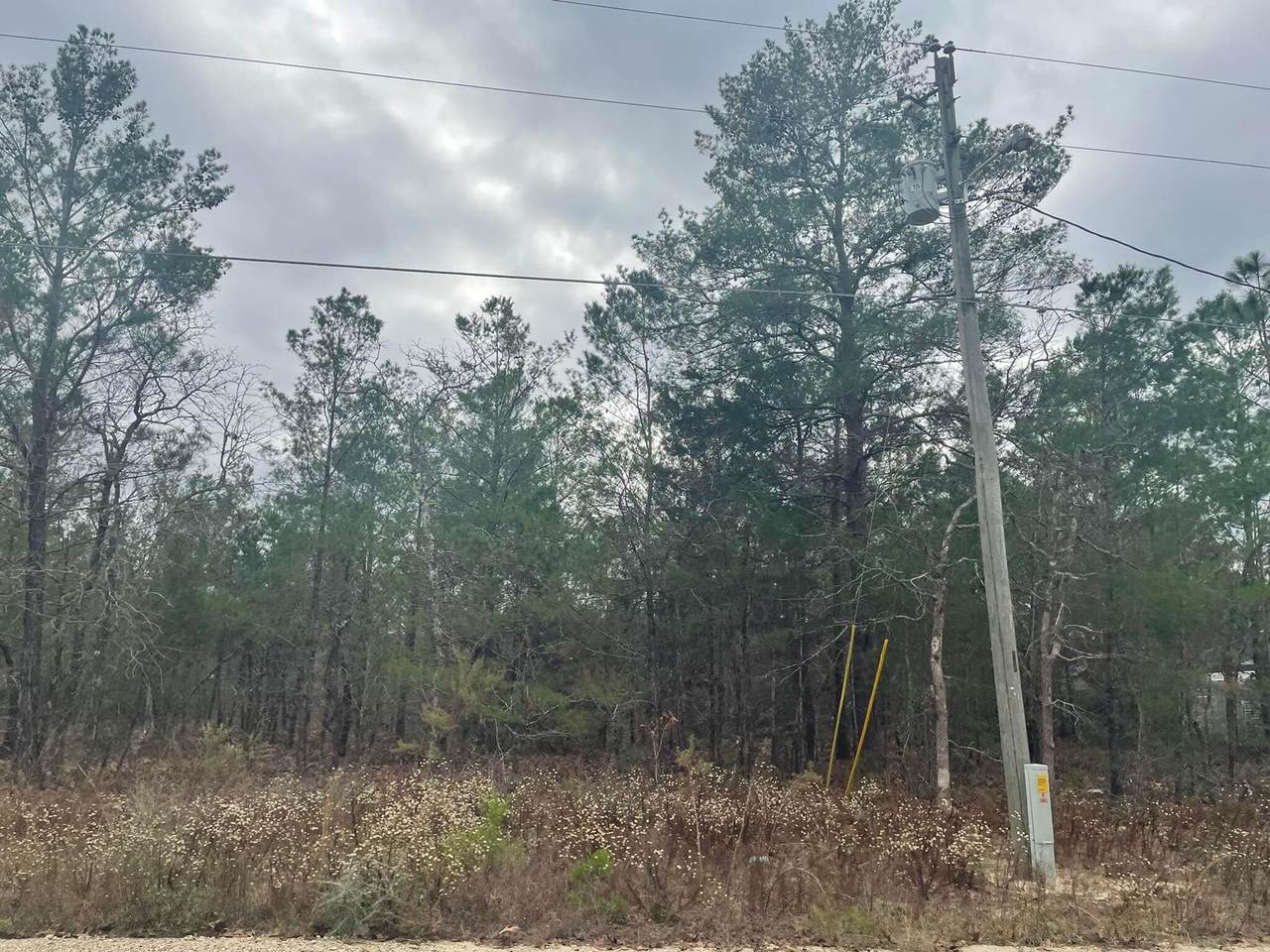 Lot 5 Rosewood Lane - Photo 1