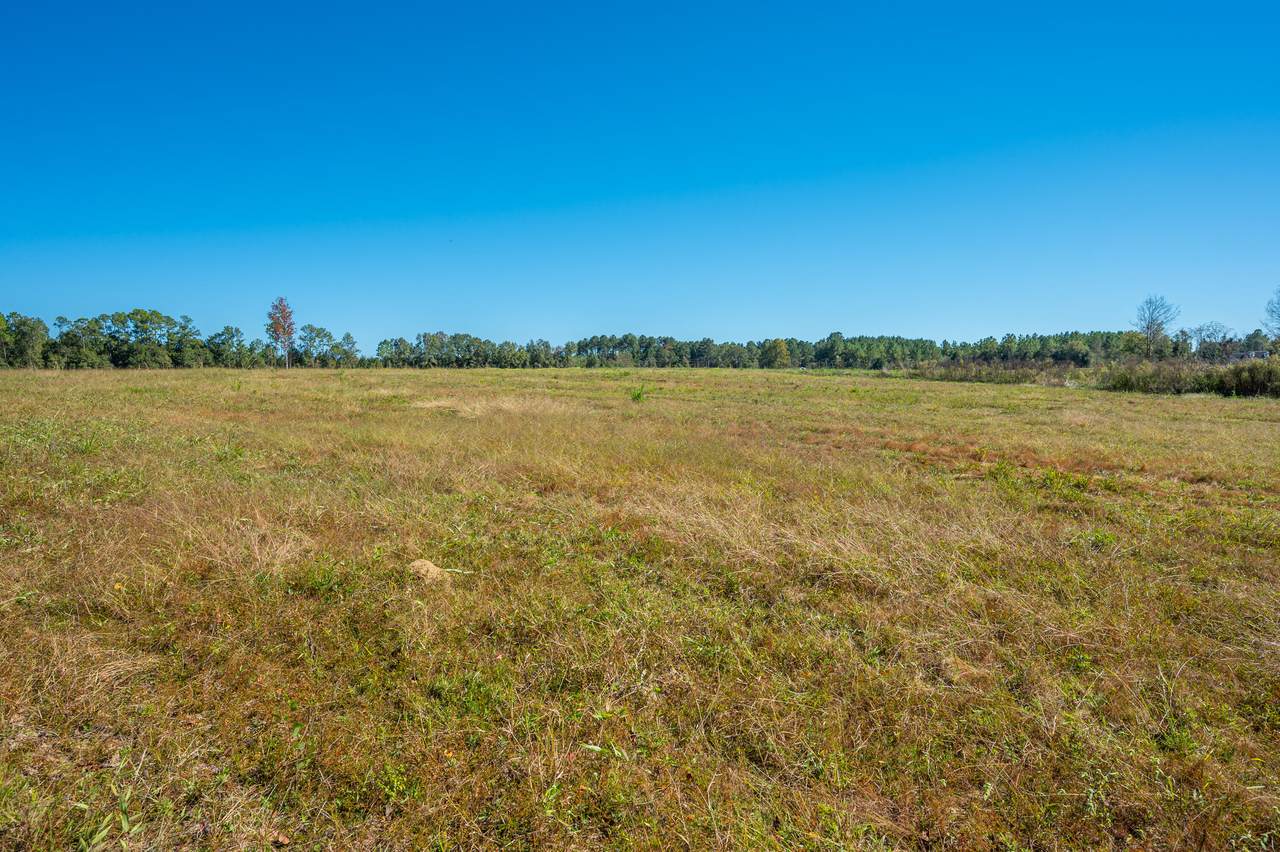 20A Acres Flowersview Boulevard - Photo 1