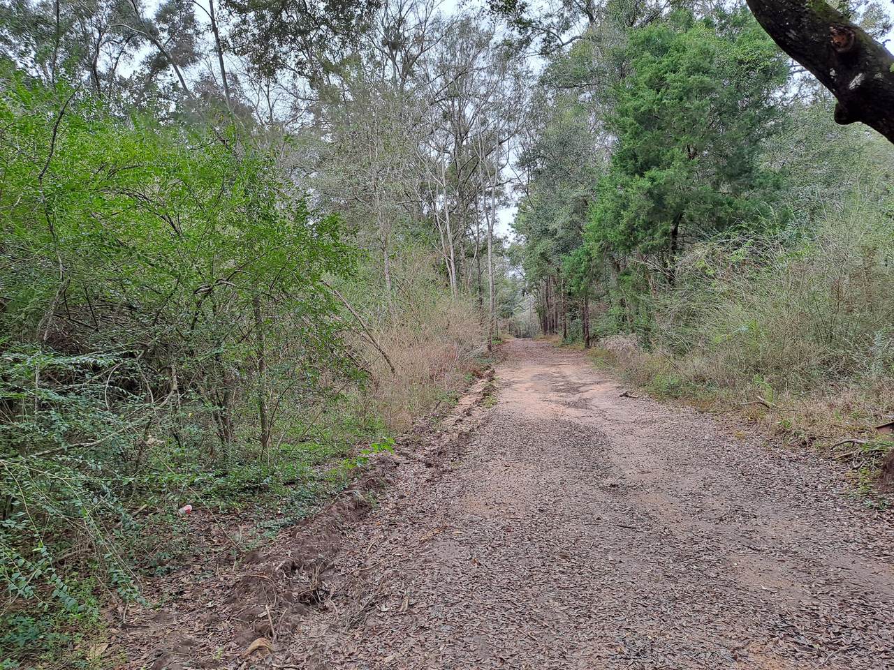 XXXX Dodson Road - Photo 1