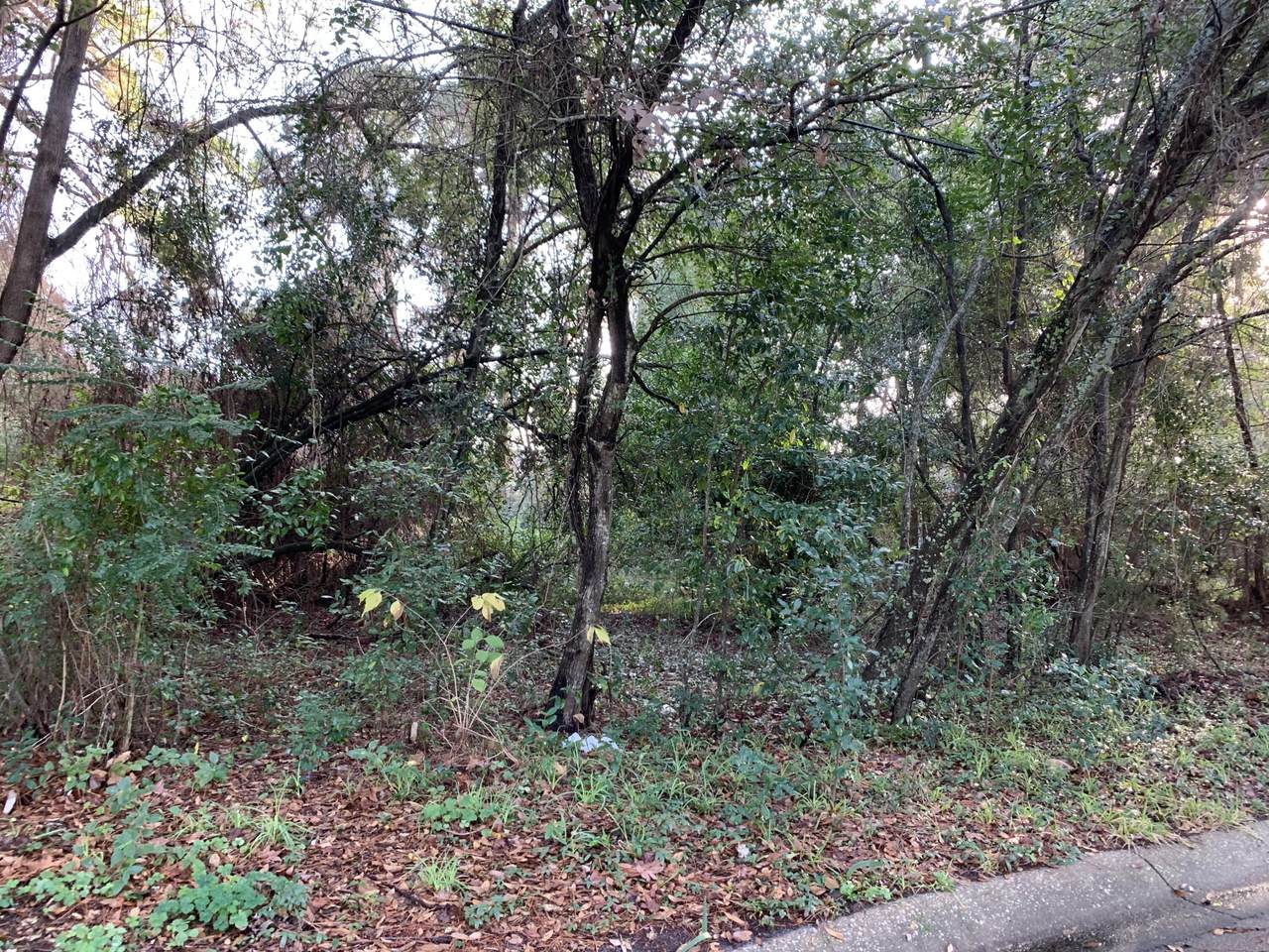 33 Park Circle - Photo 1
