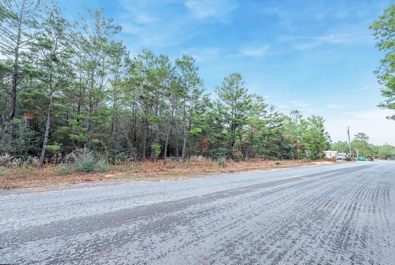 941 Watson Road - Photo 1